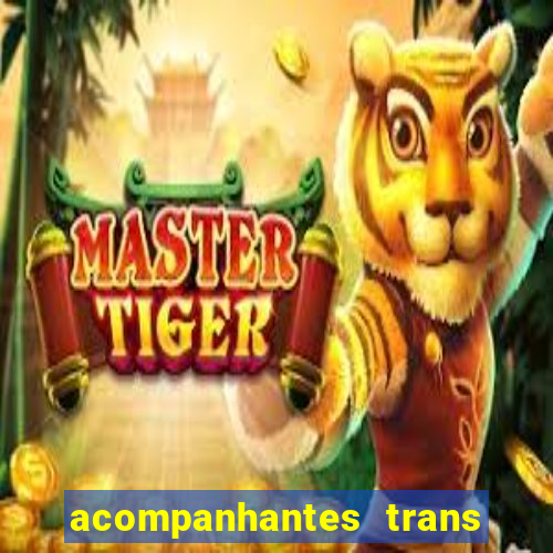 acompanhantes trans porto seguro